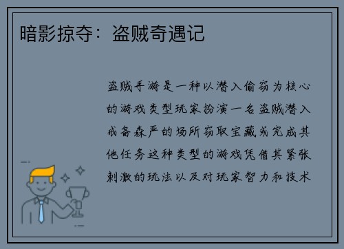 暗影掠夺：盗贼奇遇记