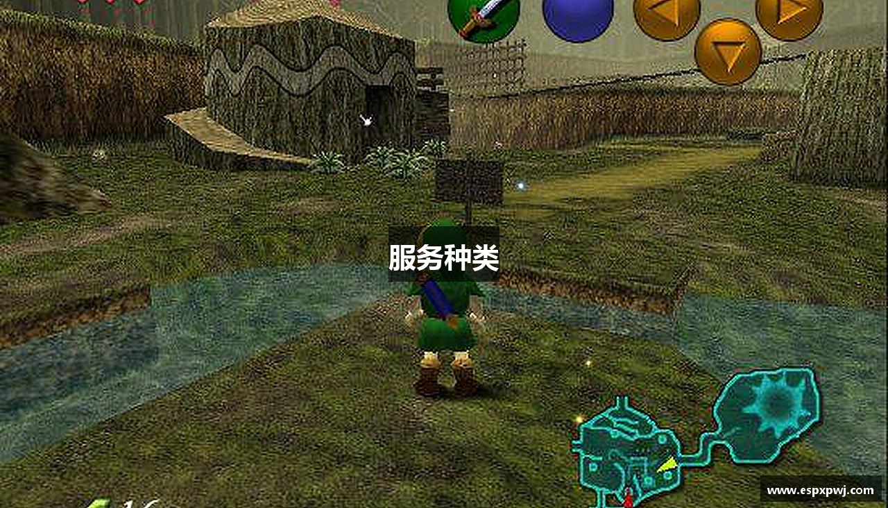 服务种类